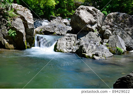 [高槻市]新鮮的綠色Settsukyo Valley 89429022