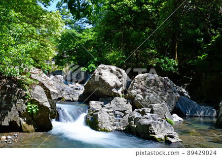 [Takatsuki City] Fresh green Settsukyo Valley 89429024