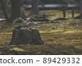 Landscape with a feeling of air 89429332
