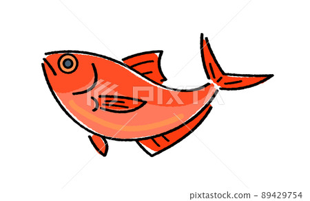 紅鯛魚 89429754