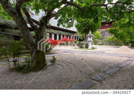Spring Sunshine Mountain Tsukiyama Temple Precincts and Guest Hall [Sakuragawa City, Ibaraki Prefecture] 89429927