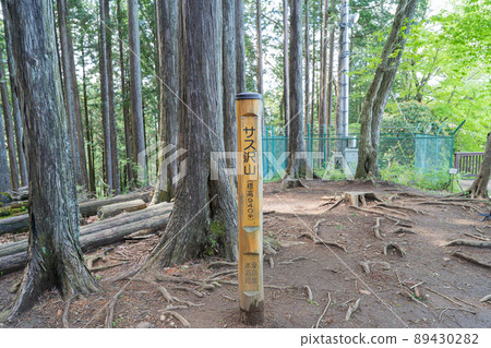 笹澤山峰會(奧多摩) 笹澤山峰會(奧多摩) 89430282