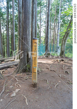 笹澤山峰會(奧多摩) 笹澤山峰會(奧多摩) 89430283