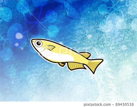 Underwater watercolor painting with medaka (gradation) Underwater watercolor painting with medaka (gradation) 89430538