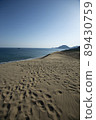 Morning view of Tottori Sand Dunes 89430759