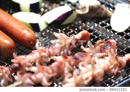 Octopus octopus 89431583