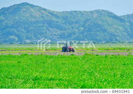 Rice field (agricultural land) soil raising and plowing truckter and farm stock photos 89431941
