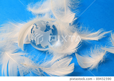 Glass globe and feathers 89432390