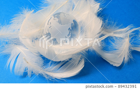 Glass globe and feathers 89432391