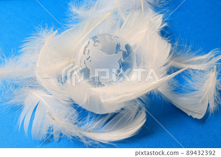 Glass globe and feathers 89432392