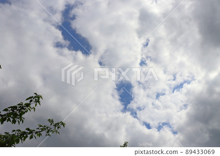 blue sky cloud tree blue sky cloud tree 89433069
