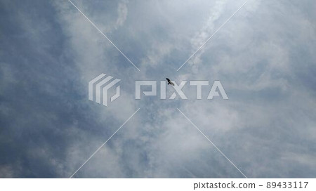 A blue sky and a kite A blue sky and a kite 89433117