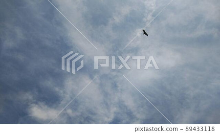 A blue sky and a kite A blue sky and a kite 89433118