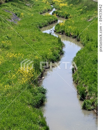 Spring brook Spring brook 89433642