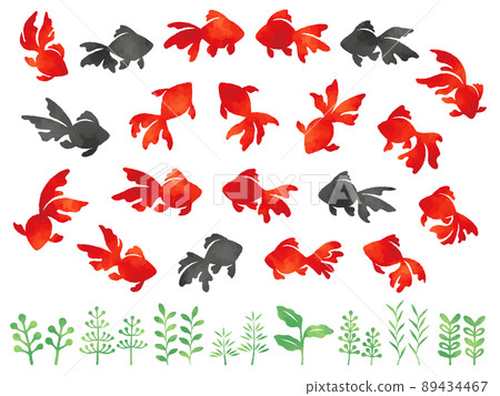 Illustration set of watercolor-style goldfish... - Stock Illustration ...