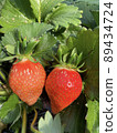 Strawberry  89434724