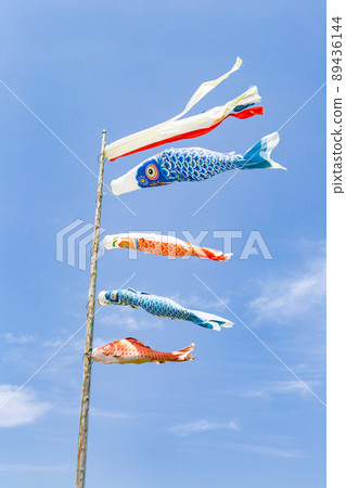 Carp streamer on the riverbed of the Onga River, Nakama City, Fukuoka Prefecture 89436144