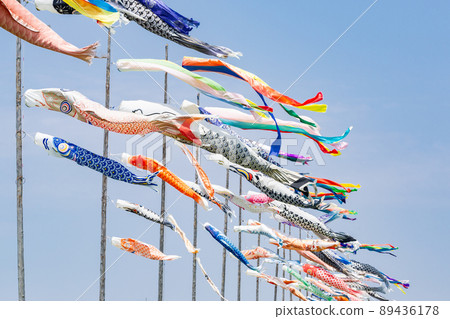 Carp streamer on the riverbed of the Onga River, Nakama City, Fukuoka Prefecture Carp streamer on the riverbed of the Onga River, Nakama City, Fukuoka Prefecture 89436178