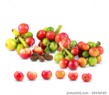 Red coffee beans, ripe and unripe berry fruit isolated on white background. 89436589