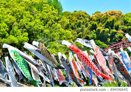 五月鯉魚在香噴噴的佐賀縣川上峽谷游泳 89436645