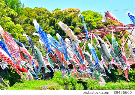 May carp swimming in the fragrant Kawakami Gorge, Saga Prefecture May carp swimming in the fragrant Kawakami Gorge, Saga Prefecture 89436660