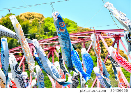 May carp swimming in the fragrant Kawakami Gorge, Saga Prefecture May carp swimming in the fragrant Kawakami Gorge, Saga Prefecture 89436666
