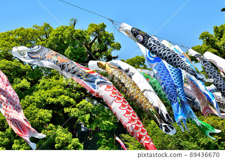 May carp swimming in the fragrant Kawakami Gorge, Saga Prefecture May carp swimming in the fragrant Kawakami Gorge, Saga Prefecture 89436670
