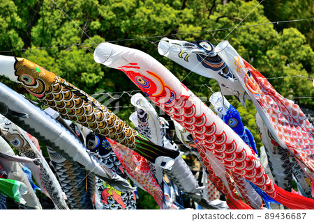 May carp swimming in the fragrant Kawakami Gorge, Saga Prefecture 89436687