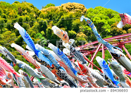 May carp swimming in the fragrant Kawakami Gorge, Saga Prefecture 89436693