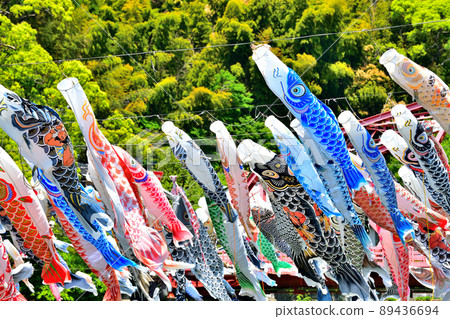 五月鯉魚在香噴噴的佐賀縣川上峽谷游泳 五月鯉魚在香噴噴的佐賀縣川上峽谷游泳 89436694