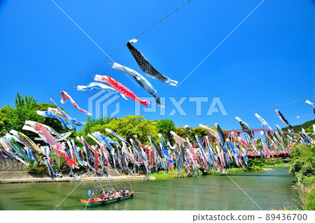 May carp swimming in the fragrant Kawakami Gorge, Saga Prefecture 89436700