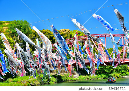 May carp swimming in the fragrant Kawakami Gorge, Saga Prefecture May carp swimming in the fragrant Kawakami Gorge, Saga Prefecture 89436711