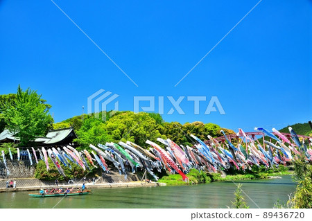 May carp swimming in the fragrant Kawakami Gorge, Saga Prefecture 89436720