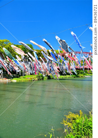 May carp swimming in the fragrant Kawakami Gorge, Saga Prefecture May carp swimming in the fragrant Kawakami Gorge, Saga Prefecture 89436721