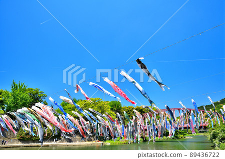 May carp swimming in the fragrant Kawakami Gorge, Saga Prefecture 89436722