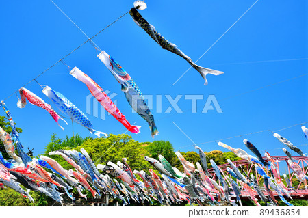 五月鯉魚在香噴噴的佐賀縣川上峽谷游泳 89436854