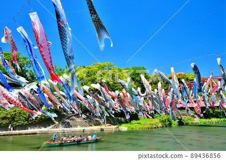 五月鯉魚在香噴噴的佐賀縣川上峽谷游泳 五月鯉魚在香噴噴的佐賀縣川上峽谷游泳 89436856