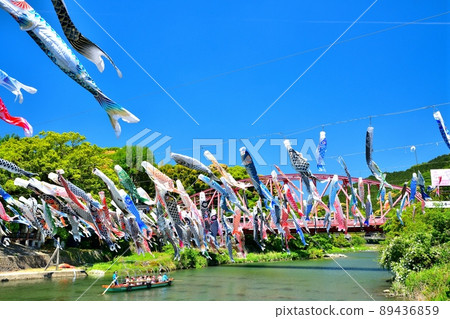 May carp swimming in the fragrant Kawakami Gorge, Saga Prefecture 89436859