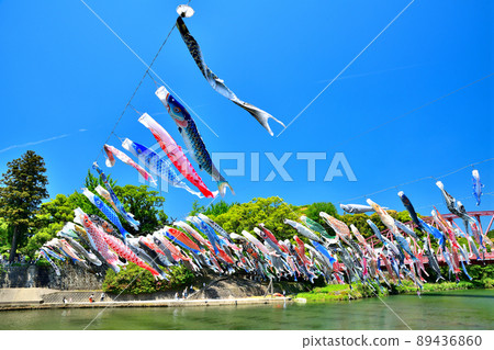 May carp swimming in the fragrant Kawakami Gorge, Saga Prefecture May carp swimming in the fragrant Kawakami Gorge, Saga Prefecture 89436860