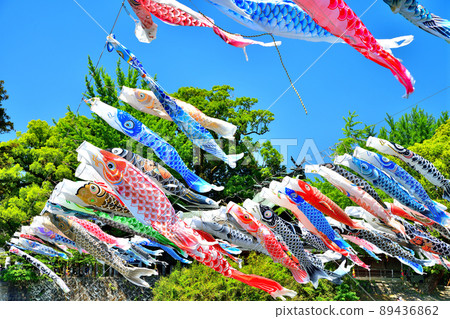 May carp swimming in the fragrant Kawakami Gorge, Saga Prefecture May carp swimming in the fragrant Kawakami Gorge, Saga Prefecture 89436862