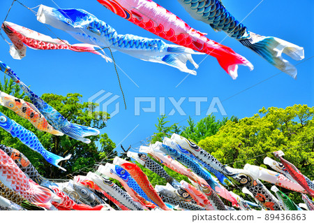 May carp swimming in the fragrant Kawakami Gorge, Saga Prefecture 89436863