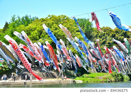 May carp swimming in the fragrant Kawakami Gorge, Saga Prefecture 89436875