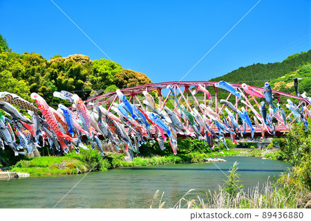 May carp swimming in the fragrant Kawakami Gorge, Saga Prefecture May carp swimming in the fragrant Kawakami Gorge, Saga Prefecture 89436880