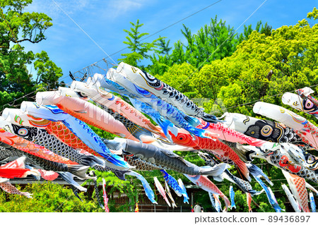 May carp swimming in the fragrant Kawakami Gorge, Saga Prefecture 89436897
