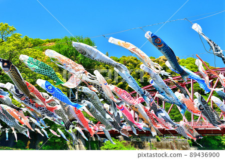 五月鯉魚在香噴噴的佐賀縣川上峽谷游泳 五月鯉魚在香噴噴的佐賀縣川上峽谷游泳 89436900