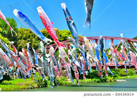 May carp swimming in the fragrant Kawakami Gorge, Saga Prefecture May carp swimming in the fragrant Kawakami Gorge, Saga Prefecture 89436914
