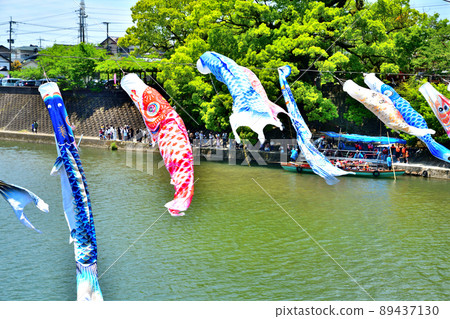 May carp swimming in the fragrant Kawakami Gorge, Saga Prefecture May carp swimming in the fragrant Kawakami Gorge, Saga Prefecture 89437130