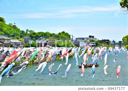 May carp swimming in the fragrant Kawakami Gorge, Saga Prefecture May carp swimming in the fragrant Kawakami Gorge, Saga Prefecture 89437177