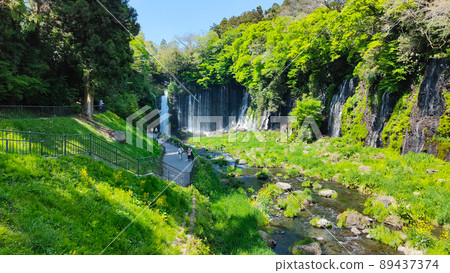 Shiraito Falls (Fujinomiya City) 89437374