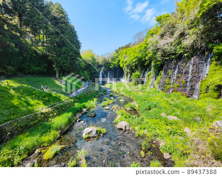 Shiraito Falls (Fujinomiya City) Shiraito Falls (Fujinomiya City) 89437388